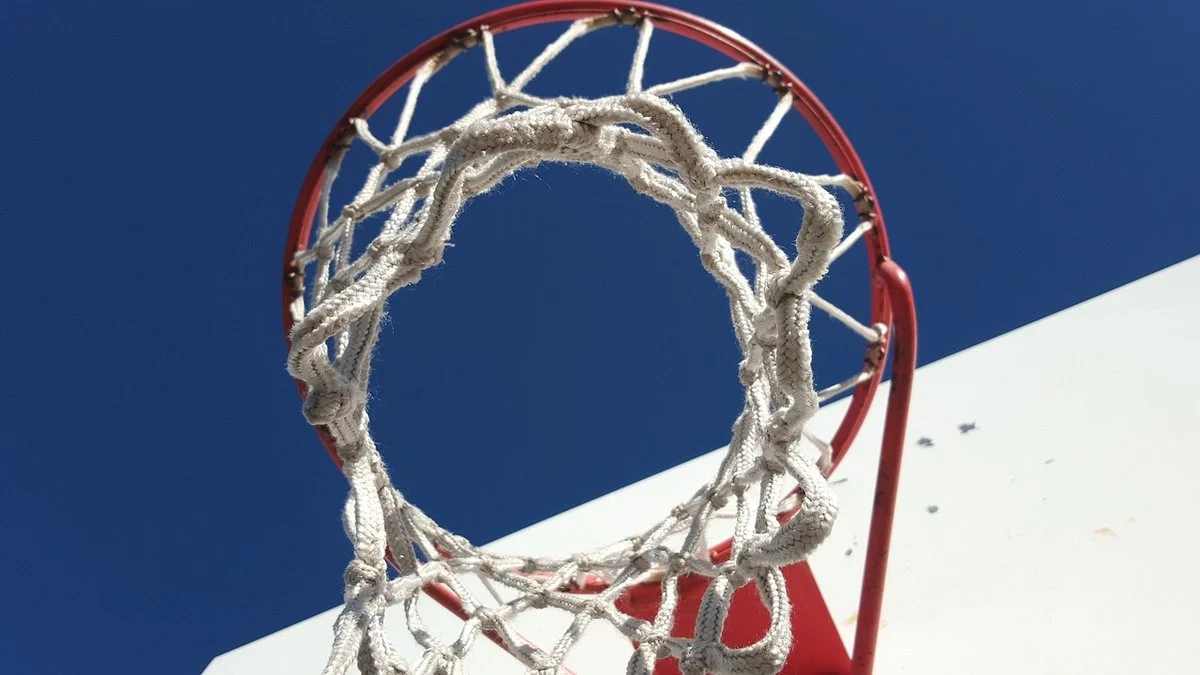 NBA赛季前30预测复盘：尼克斯阵容分工的真实变化